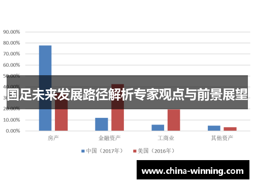 国足未来发展路径解析专家观点与前景展望
